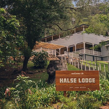 Halse Lodge Noosa Heads Bagian luar foto