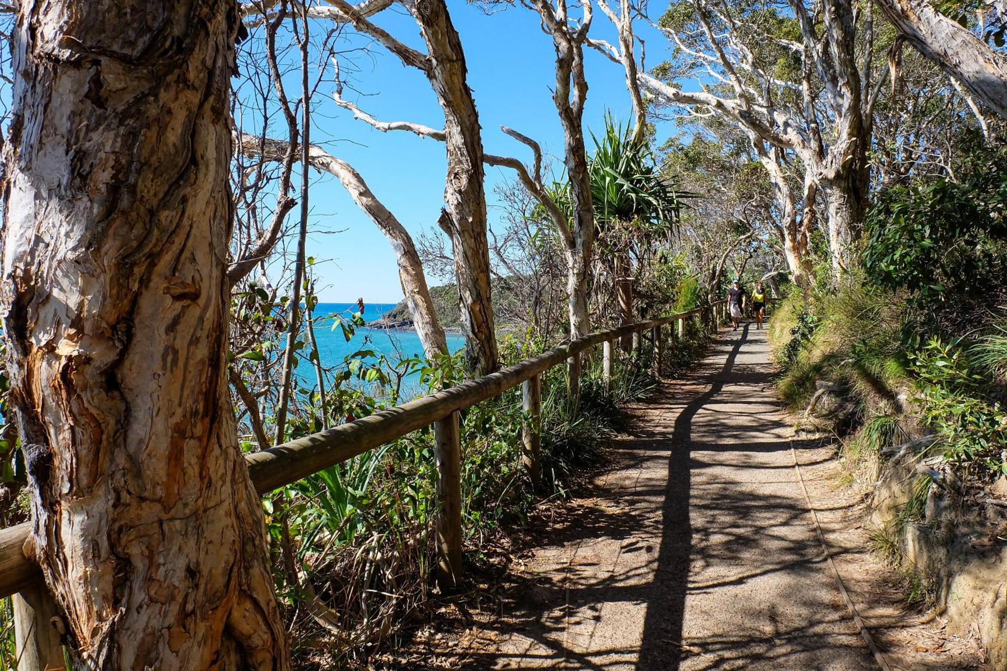 Halse Lodge Noosa Heads Bagian luar foto
